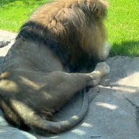 Photo taken at Fort Worth Zoo by Pedro R. on 7/28/2023