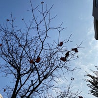 Photo taken at Inokashira Line Meidaimae Station (IN08) by ayapenguin on 11/18/2020