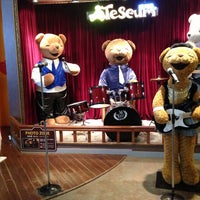teseum safari