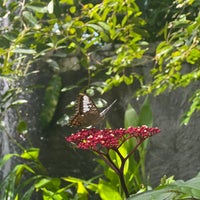 Photo taken at Bangkok Butterfly Garden and Insectarium by Panida T. on 9/11/2022