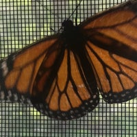 Das Foto wurde bei Bear Mountain Butterfly Sanctuary von Barbara H. am 7/9/2019 aufgenommen