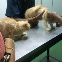 Klinik Haiwan R Singam
