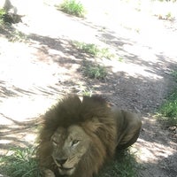 Foto diambil di Taman Safari Indonesia III oleh Ahmad A. pada 11/14/2018