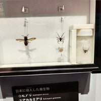 Photo taken at Osaka Museum of Natural History by いけちょ .. on 5/18/2023