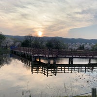 4/13/2019에 YongSoo J.님이 경안천습지생태공원에서 찍은 사진