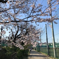Photo taken at 松の川緑道 by bossabob on 3/21/2020
