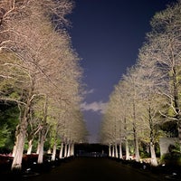 Photo taken at Nagai Botanical Garden by Yoshiro T. on 4/9/2024