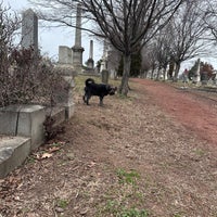 Photo taken at Historic Congressional Cemetery by Caitlin L. on 1/29/2023