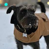 Снимок сделан в Meridian Hill Park пользователем Caitlin L. 1/15/2024