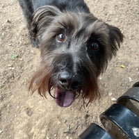 Photo taken at S Street Dog Park by Caitlin L. on 7/31/2021