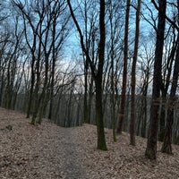 Photo taken at Barrandovský les by Jan M. on 12/19/2021