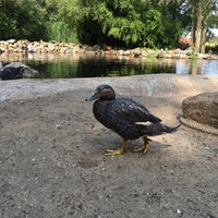 Photo taken at Aqua Zoo by Larissa B. on 8/15/2018