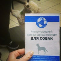 Photo taken at Ветеринарный госпиталь by Ольга С. on 3/31/2014