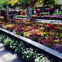 Mauk Gartenwelt 2 Tips From 59 Visitors