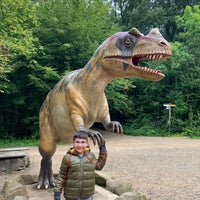 8/22/2021 tarihinde Tuba H.ziyaretçi tarafından Dinosaurierpark Teufelsschlucht'de çekilen fotoğraf