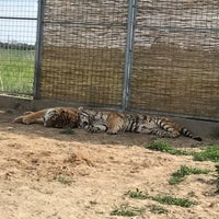 Photo taken at Oáza Sibírskeho Tigra by Svišťo on 5/15/2017