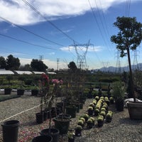 Photos At Vineland Nursery Mid Town North Hollywood Photo Taken At Vineland Nursery By Curtis B On 2 13 2016