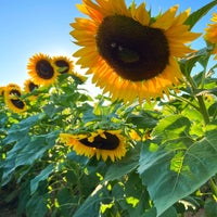 Photo taken at Shady Brook Farm by Büşra D. on 9/18/2023