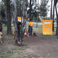 Photo taken at Entrenamiento Canino CRAA K-9 by Gustavo Yepez on 10/17/2015