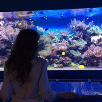 Photo taken at Морской аквариум by Марина М. on 4/3/2016