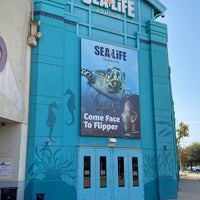 Снимок сделан в SEA LIFE Grapevine Aquarium пользователем Dan V. 12/3/2022
