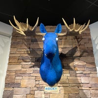 Foto scattata a Blue Moose da Dan V. il 9/10/2023
