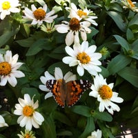 The Home Depot Hardware Store