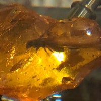 Photo taken at Amber Museum-Gallery by Eleonora on 11/15/2019