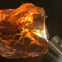 Photo taken at Amber Museum-Gallery by Eleonora on 11/15/2019