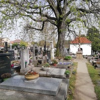 Photo taken at Slivenecký hřbitov by Karel K. on 3/31/2024