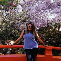 Photo taken at Descanso Gardens Japanese Garden Teahouse by Alex L. on 4/7/2019