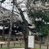 Photo taken at Yasukuni-jinja Shrine by まろ子 on 4/13/2024