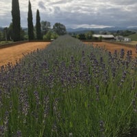 6/2/2020 tarihinde Heather B.ziyaretçi tarafından Cana&amp;#39;s Feast Winery'de çekilen fotoğraf