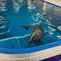 Photo taken at Центр плавания с дельфинами by Ulia K. on 11/17/2021