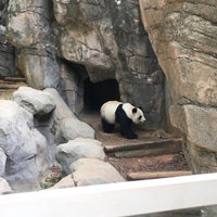 Photo taken at Panda Exhibit by Aleyda B. on 10/14/2019