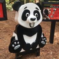 Photo taken at Panda Exhibit by Aleyda B. on 10/14/2019
