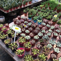 Photos At Potters Garden Flower Shop