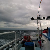 12/16/2014에 Parissa  A.님이 Newport Landing Whale Watching에서 찍은 사진