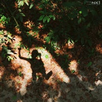 Review Tree Top Challenge | Club Med Cherating Beach