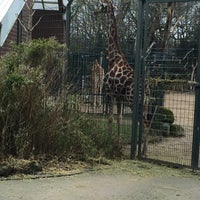 Giraffenhaus Zoo Dortmund Rombergpark Dortmund Nordrhein Westfalen