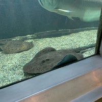 Photo taken at Belle Isle Aquarium by Jawana on 6/23/2019