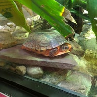 Photo taken at Reptile Discovery Center by Maggie M. on 5/26/2018
