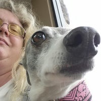 beach city animal hospital