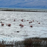 Photo taken at Reserva Ecológica Municipal &amp;quot;Laguna Nimez&amp;quot; by Hector Andres B. on 3/21/2023