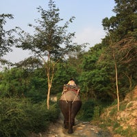 Photo taken at thai tong elephant pattaya by Jaypee Z. on 1/29/2016