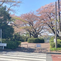 Photo taken at いろは坂桜公園 by いず い. on 4/4/2023