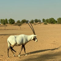 Photo taken at Al Maha Desert Resort &amp;amp; Spa by uosl!M 6. on 10/7/2023