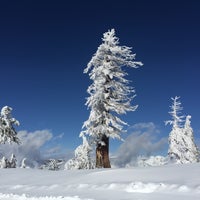 Photo taken at Bear Valley Mountain by MJ L. on 1/11/2016