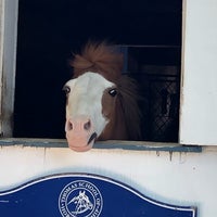 Foto tomada en Thomas School of Horsemanship Summer Day Camp &amp;amp; Riding School  por Masayo K. el 6/22/2019