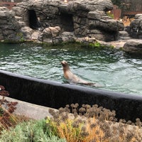 Photo taken at Sea Lion Court by Nate F. on 12/14/2019